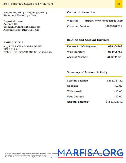 Blank USA Nomad Global bank statement 3 – 6 months word download for verification